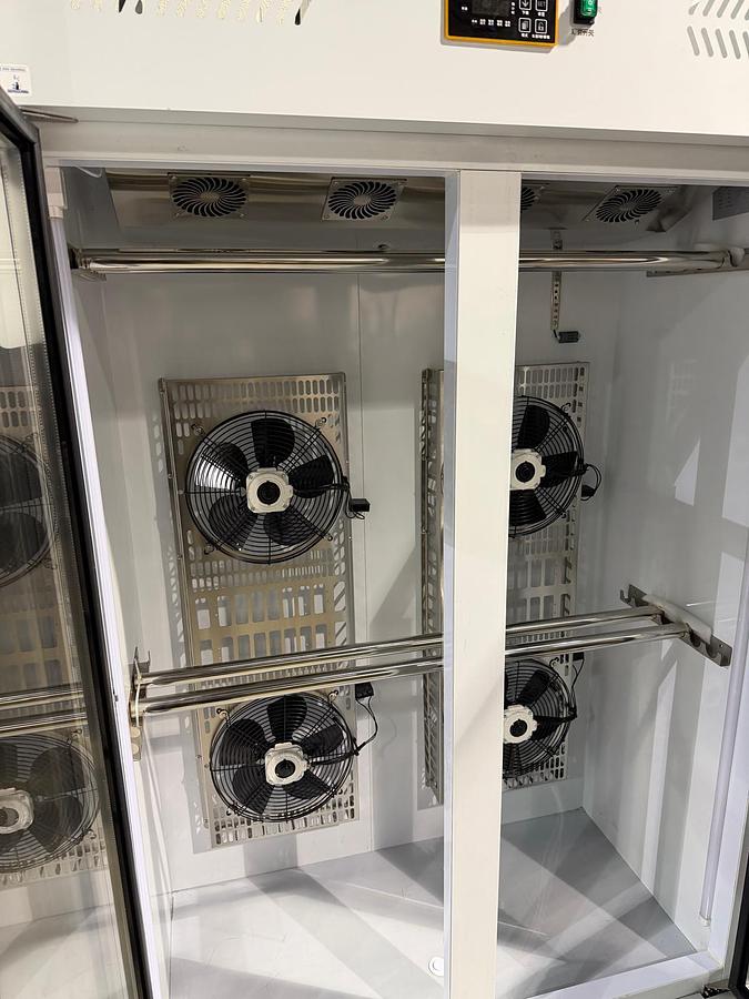 Complete Unused DimSum Process and Packaging Line