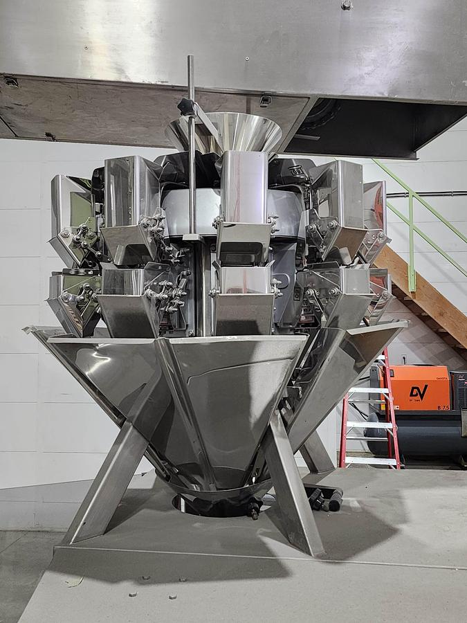 Used Used Form Fill Seal Packager with 10 Head Rotary Scale