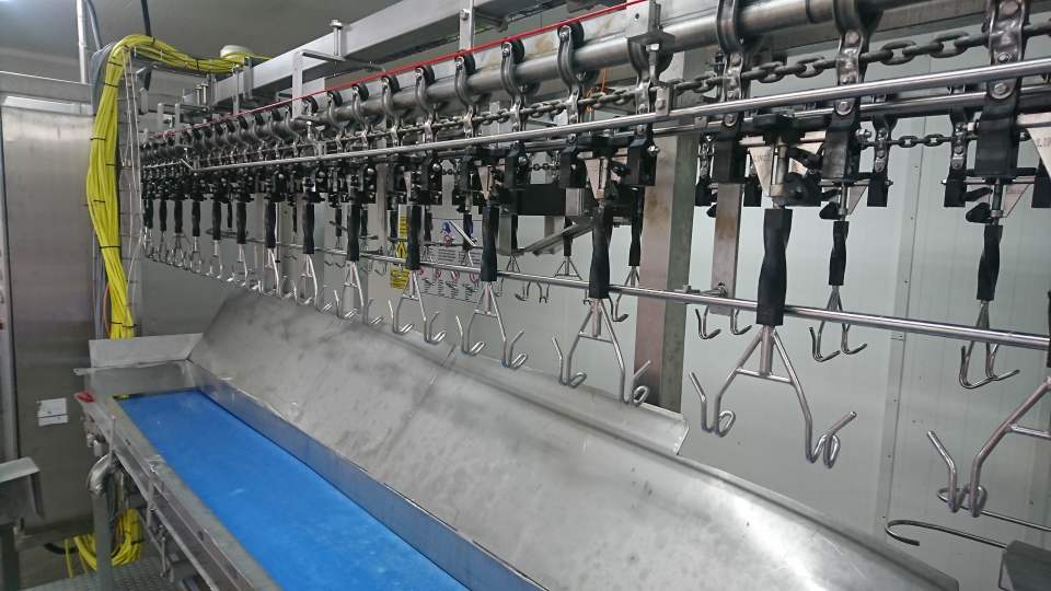 Used ProFlex Cut-up line Linco