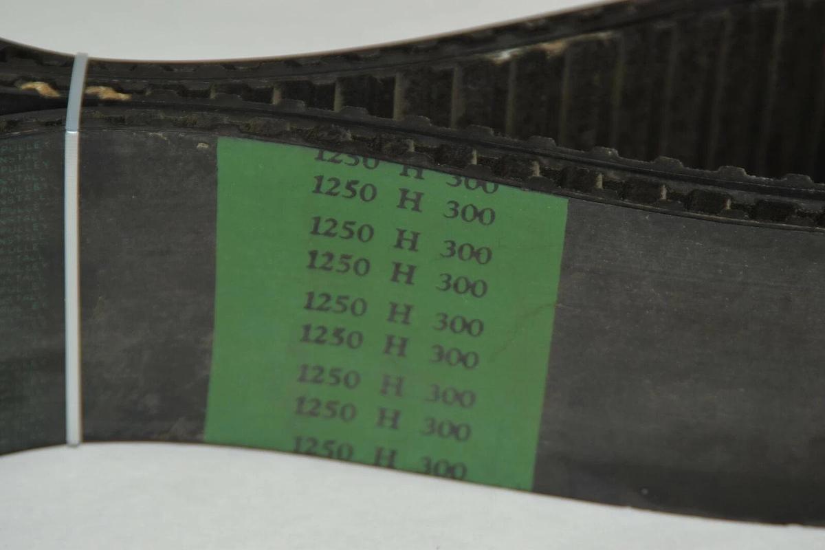 (NEW) Browning Gearbelt 1250 H 300 1250H300 Timing Belt