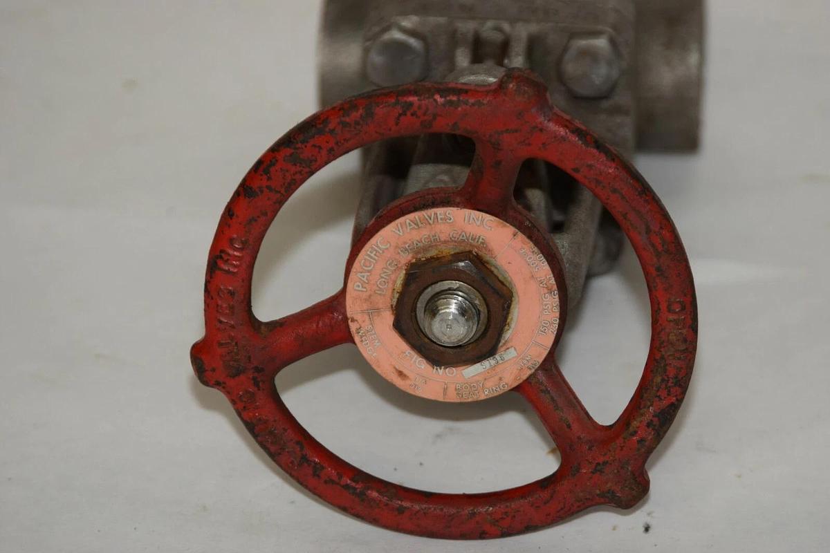 (NEW) PACIFIC VALVE FIG S195 Stem 316 Wedge 316 Stainless Steel Gate Valve