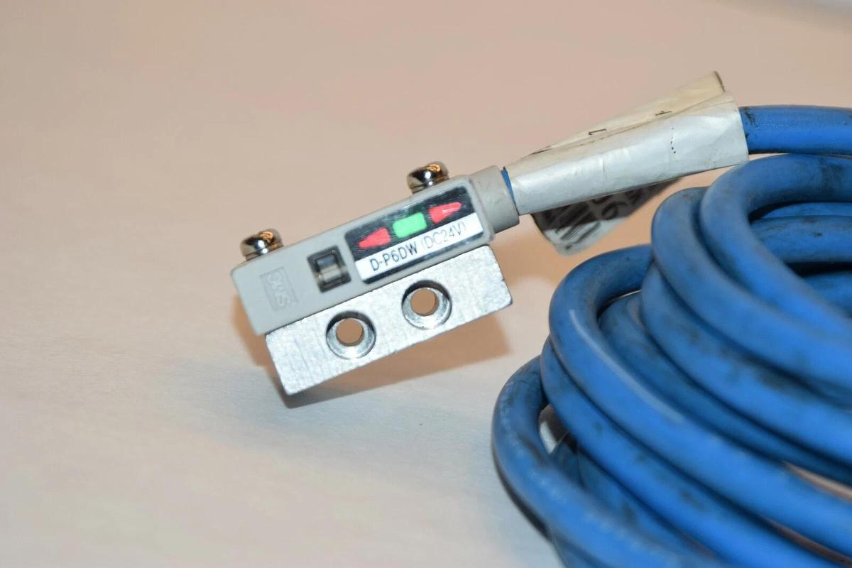 (NEW) SMC D-P6DW 24VDC Blue Reed Switch