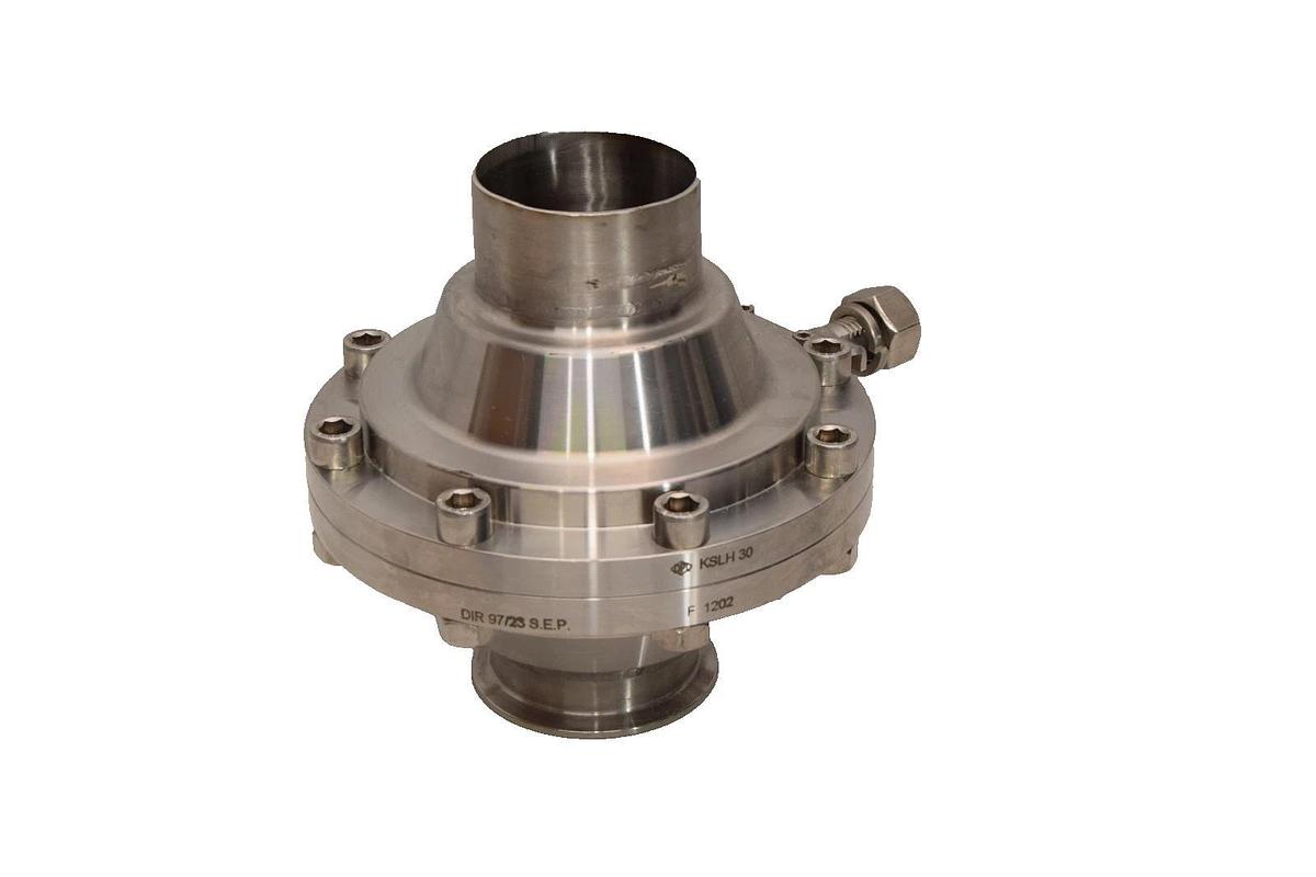 Flowserve DPL Stainless Check Valve 72.79mm KSLH30 DIR 97/23 S.E.P F1202 SS NEW