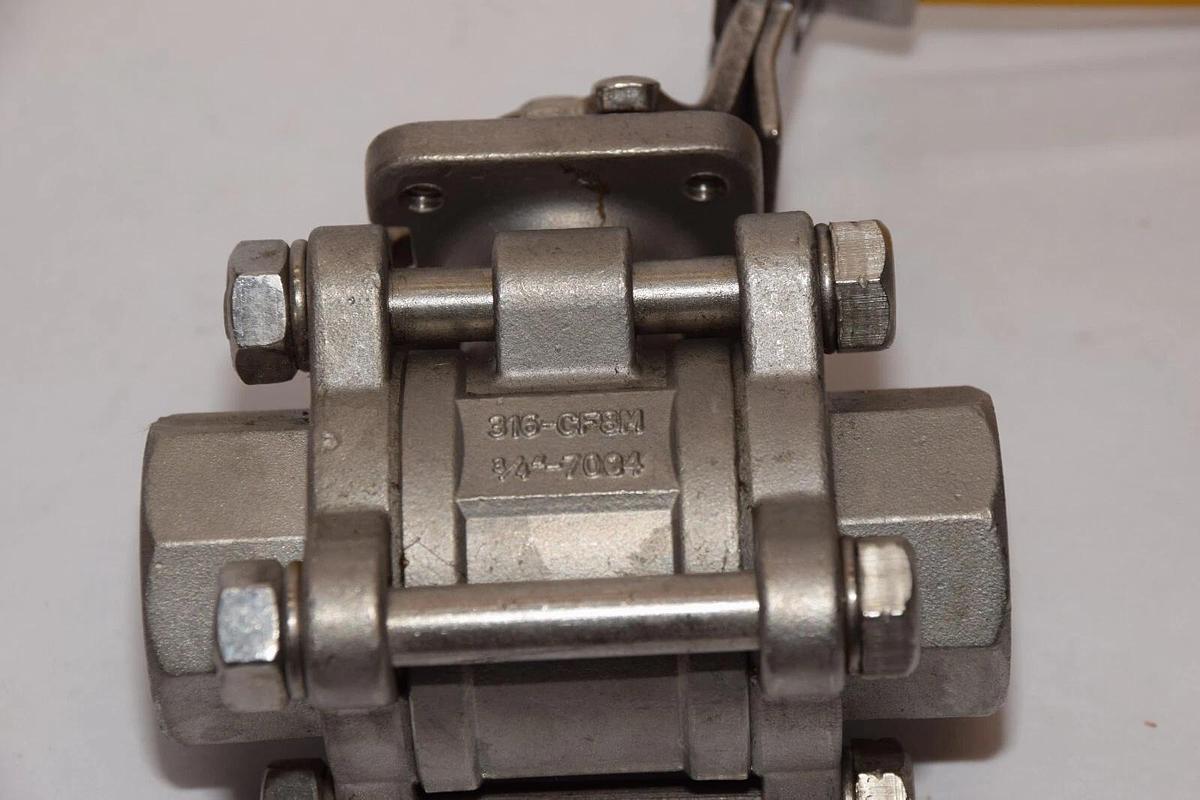 (NEW) FLOW TEK 316-CF8M 3/4" 1000 WOG Check Valve