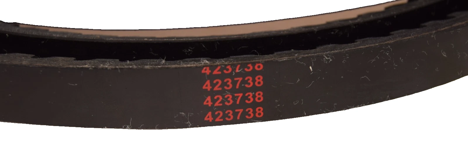 Bestorq Cogged V-Belt Belt 5VX1600 X5 Static Conducting Vbelt  (New)