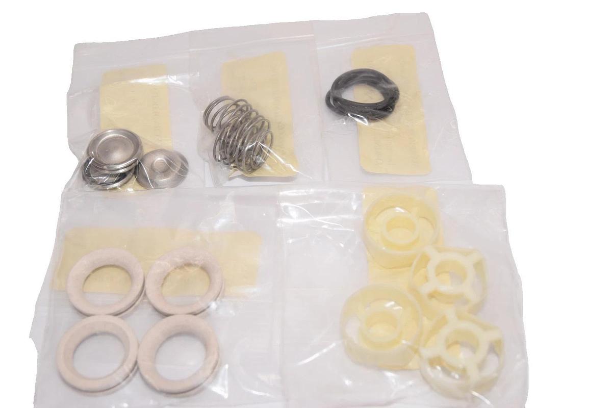 Maxpro Technologies Check Valve Kit for GPLV2 16.10.00.02 (New)