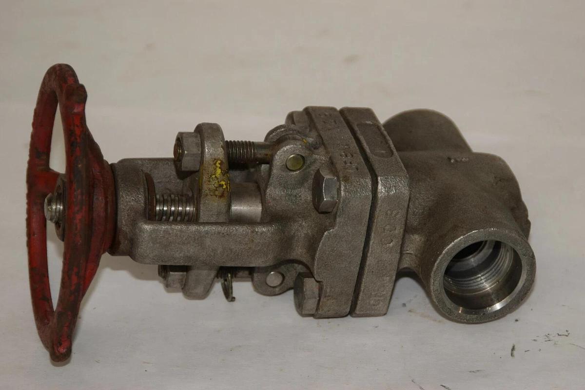 (NEW) PACIFIC VALVE FIG S195 Stem 316 Wedge 316 Stainless Steel Gate Valve