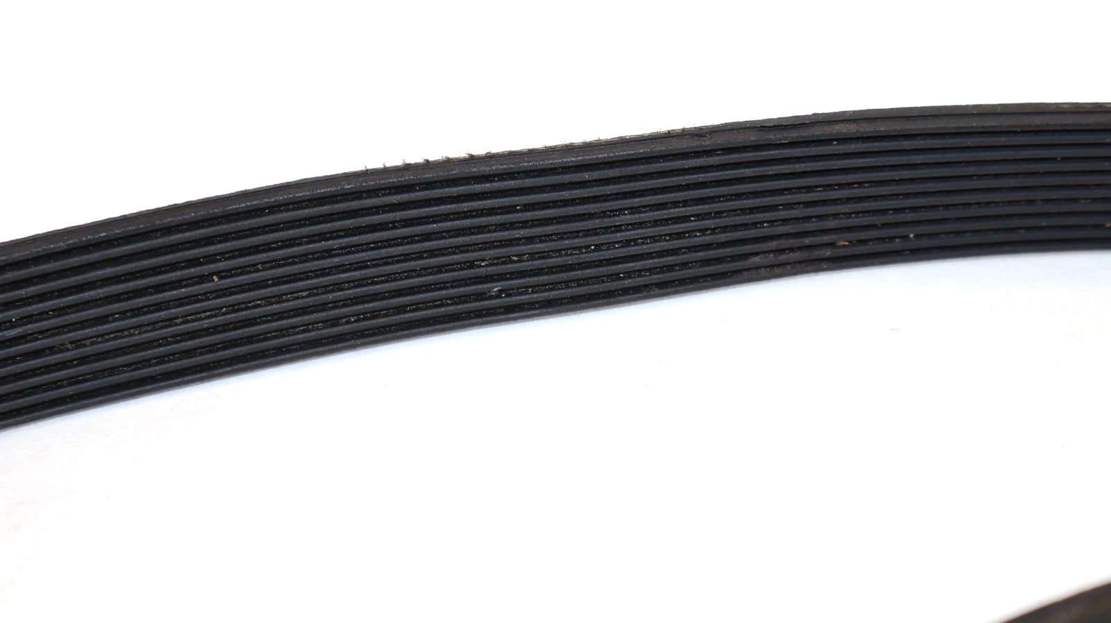 (NEW) JASON 430J10 , 430J 10 Rib Belt