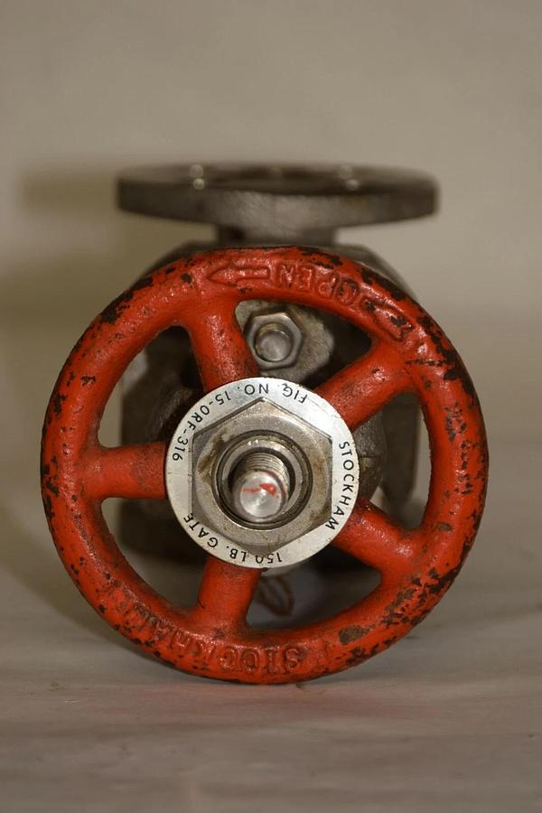 (NEW) STOCKHAM 15-ORF-316 3/4" 150lb Stainless Steel Gate Valve