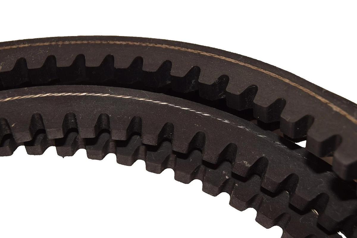 Bestorq Cogged V-Belt Belt 5VX1600 X5 Static Conducting Vbelt (New)