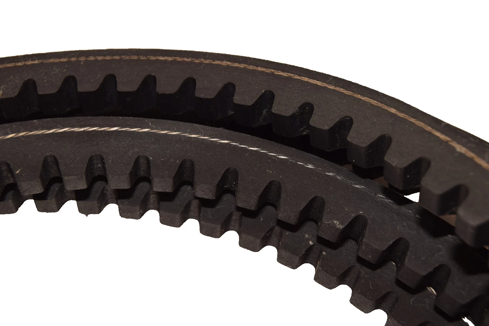 Bestorq Cogged V-Belt Belt 5VX1600 X5 Static Conducting Vbelt  (New)
