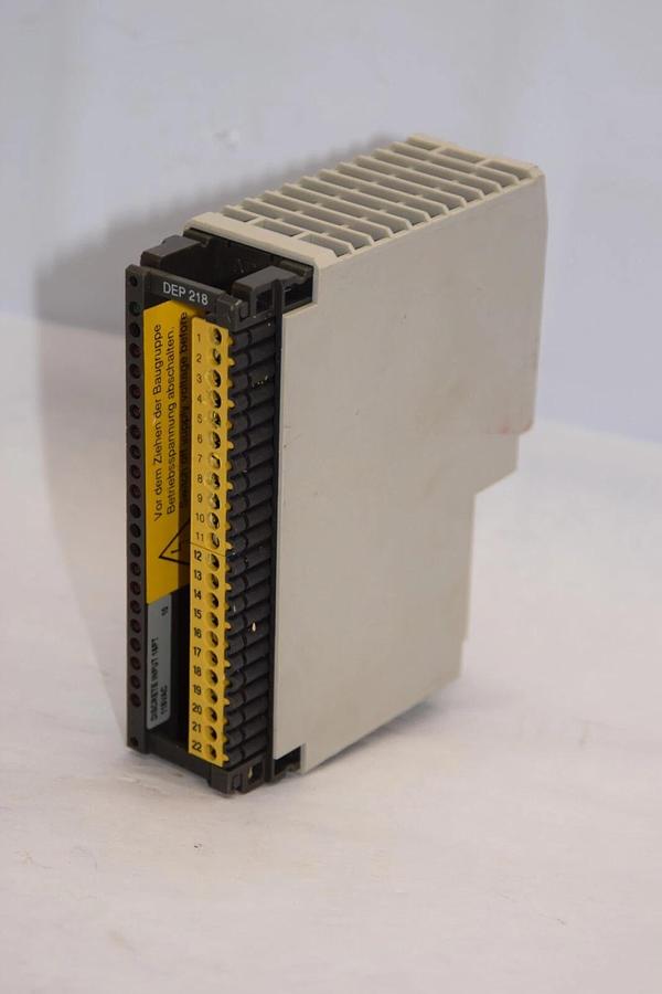 Used (Lot of 2) SCHNEIDER AUTOMATION INC DEP 218/AS-BDEP-218 16pt 115V Input Module