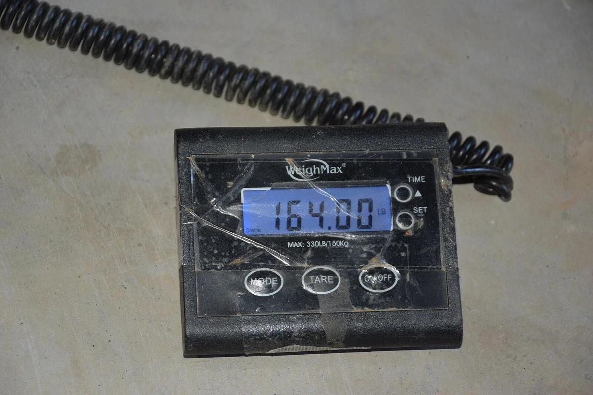 (New) Sterling KB stainless steel motor T-MTR4045 5hp 1770rpm 230/460 3ph 215TCZ