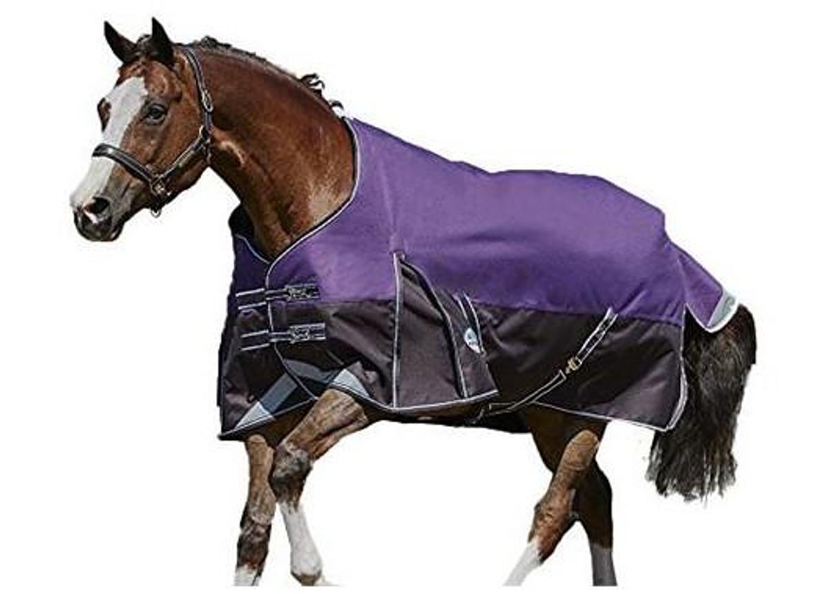 WeatherBeeta ComFiTec Plus Dynamic Standard Neck Medium Purple/Black 4' 48"