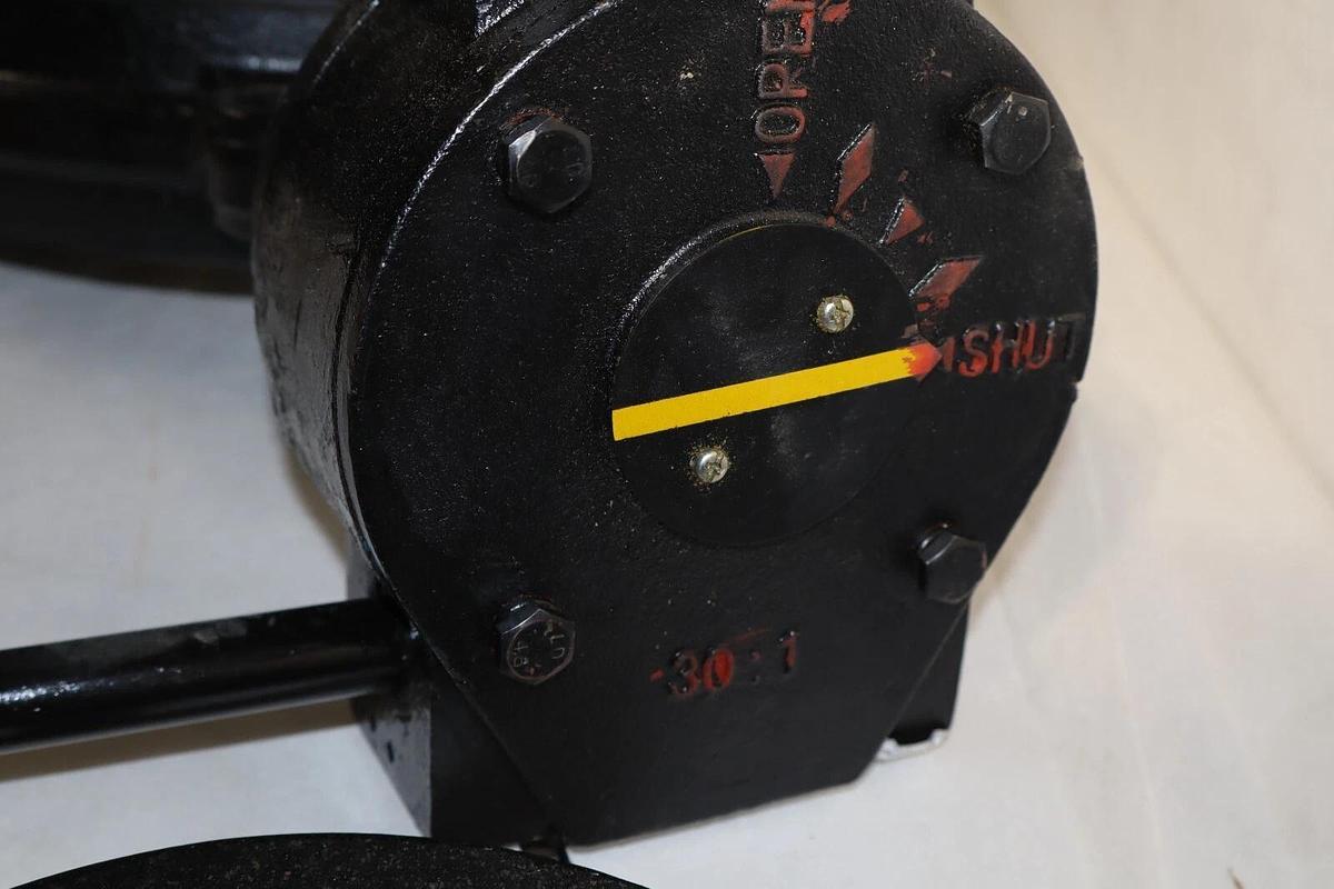 Milwaukee Cast Iron Butterfly Valve MW322E  MW322E AW  10" 10 in  150PSI