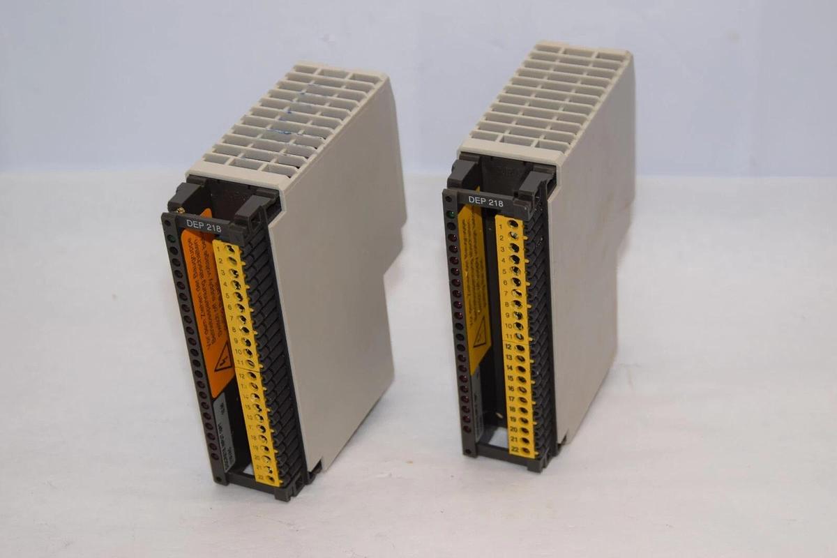 Used (Lot of 2) SCHNEIDER AUTOMATION INC DEP 218/AS-BDEP-218 16pt 115V Input Module