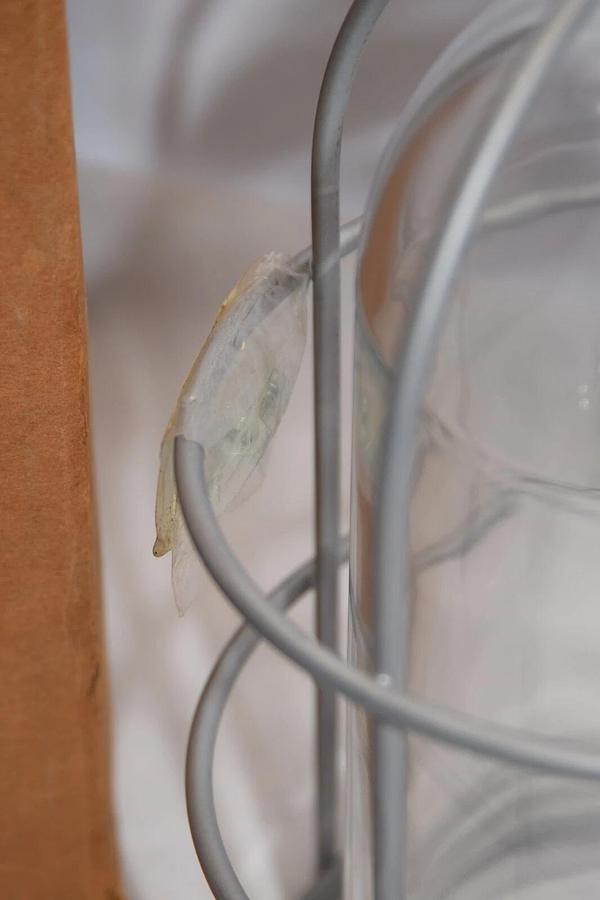 (NEW) THOMAS & BETTS VC-200 Vapor Proof 200W Fixture & Glass Globe Fixture