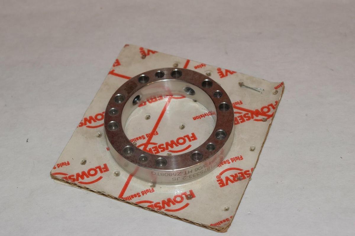 NEW FLOWSERVE LK3C1875333 494484 3/06 HT-Z5808TG REPLACEMENT PART