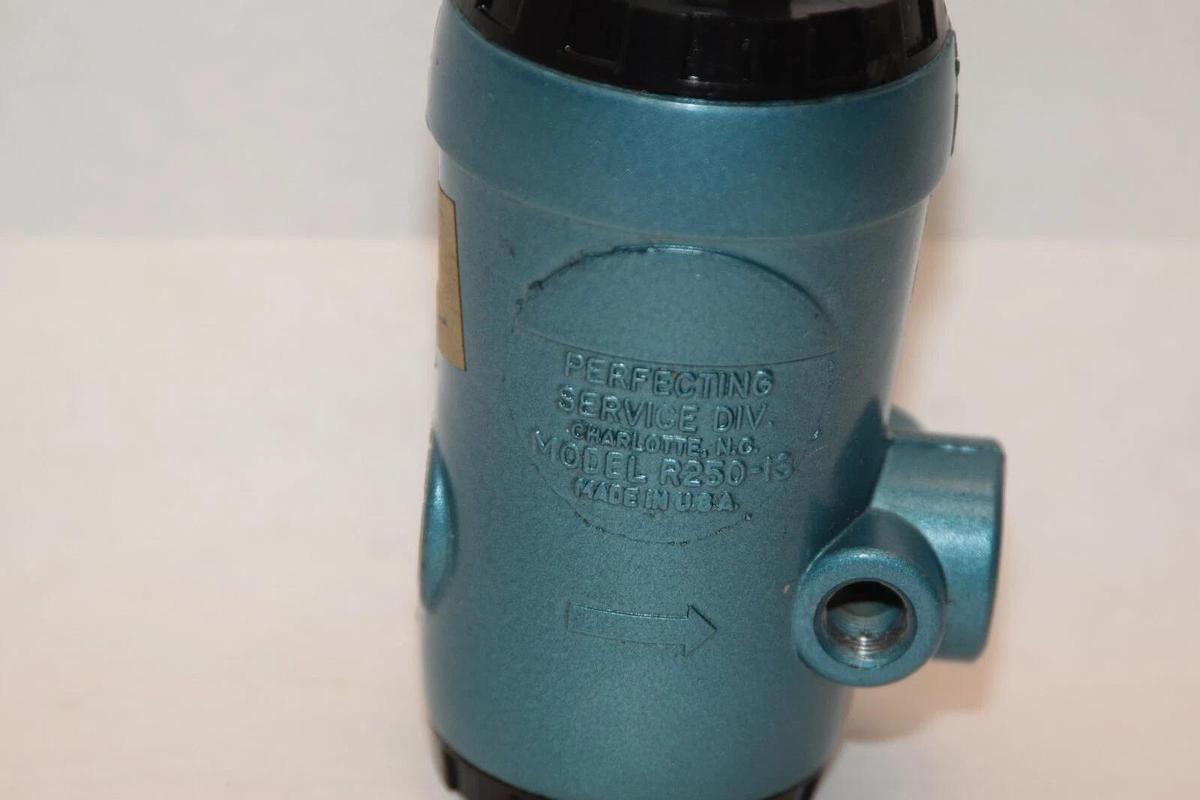 (NEW) PERFECTING SERVICE DIVISION Model R250-13 Pressure Regulator Valve
