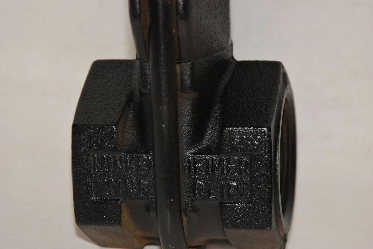 (NEW) LUNKENHEIMER FIG 1683 2-1/2" Steel Flanged Gate Valve
