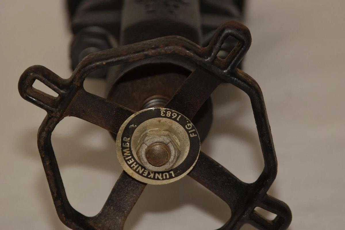 (NEW) LUNKENHEIMER FIG 1683 2-1/2" Steel Flanged Gate Valve