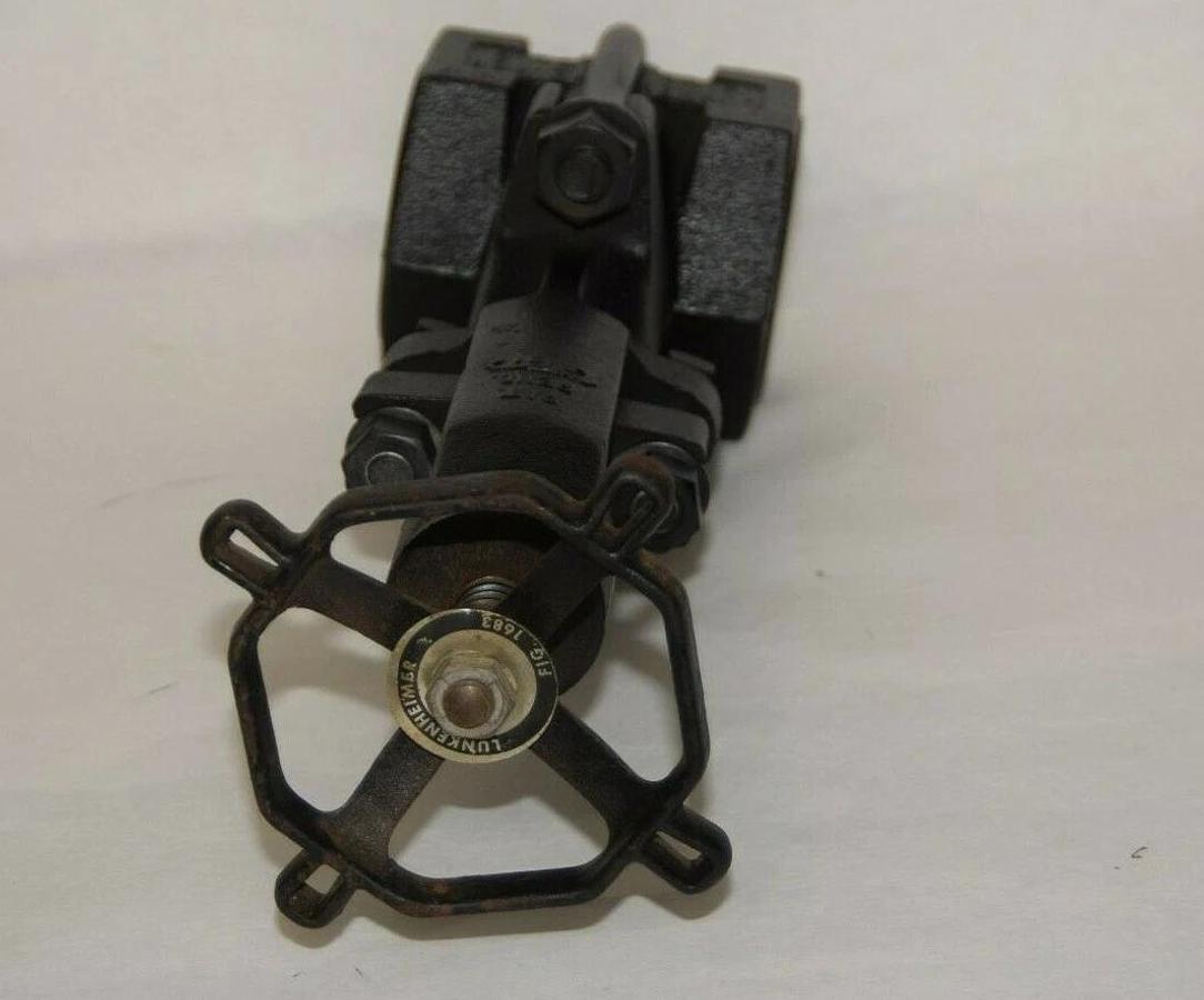 (NEW) LUNKENHEIMER FIG 1683 2-1/2" Steel Flanged Gate Valve