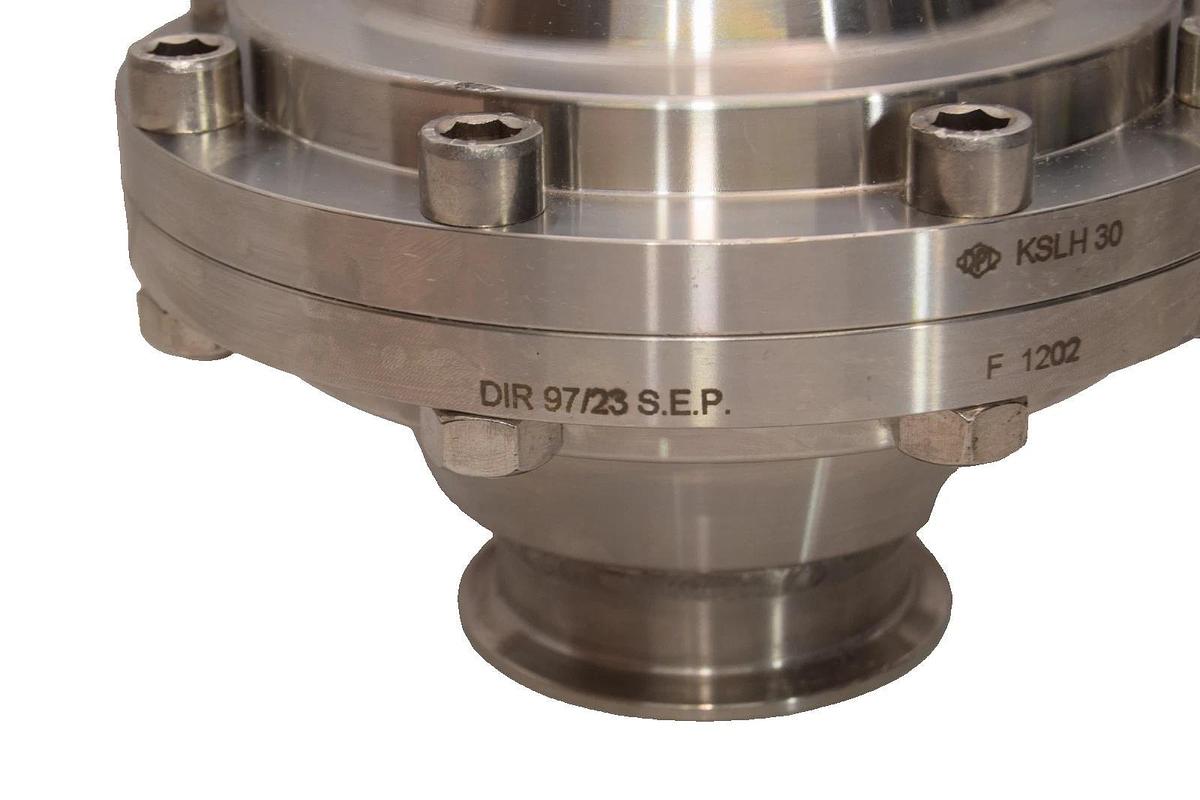 Flowserve DPL Stainless Check Valve 72.79mm KSLH30 DIR 97/23 S.E.P F1202 SS NEW