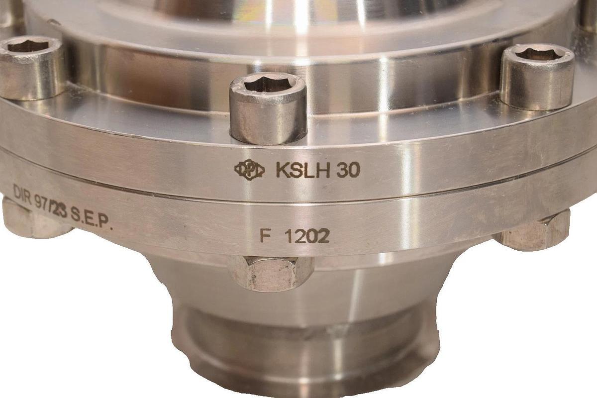 Flowserve DPL Stainless Check Valve 72.79mm KSLH30 DIR 97/23 S.E.P F1202 SS NEW