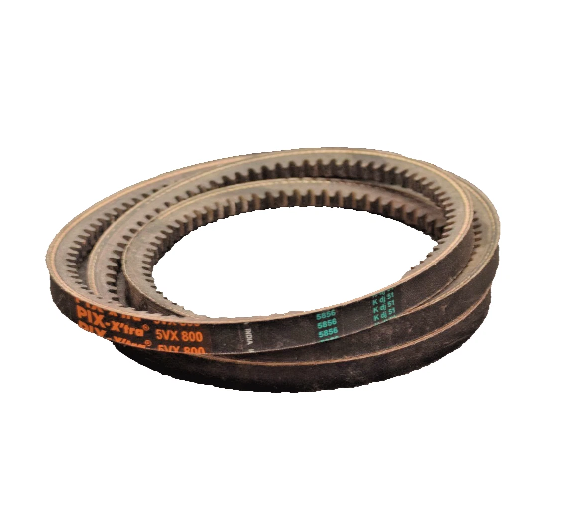 PIX Cogged V-Belt Belt 5VX800 5VX 800 5VX-800 (New)
