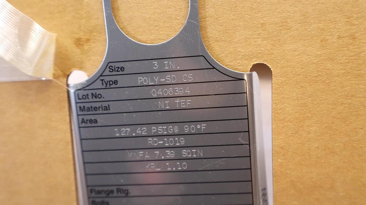 Fike Corporation Rupture Disc RD-1019 3" 127.42psi @ 90°F (New)