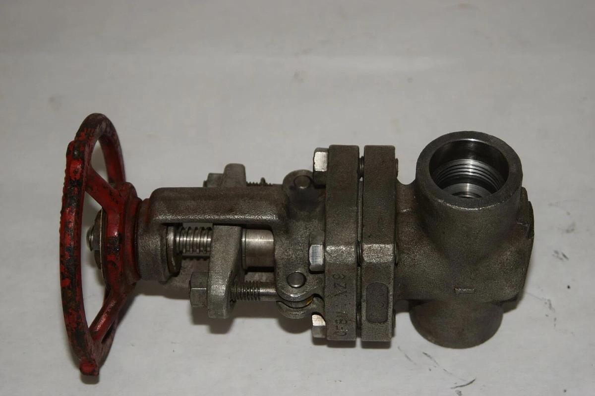 (NEW) PACIFIC VALVE FIG S195 Stem 316 Wedge 316 Stainless Steel Gate Valve