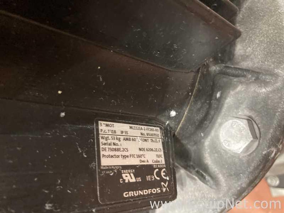 Used Lot Of Two Grundfos Centrifugal Vertical Pumps