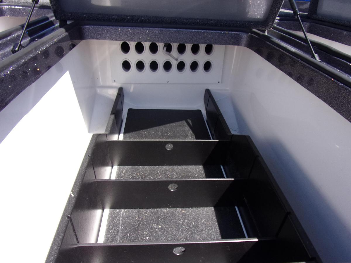 Used 2020 Caymas CX 20 with Mercury 250 L Pro XS