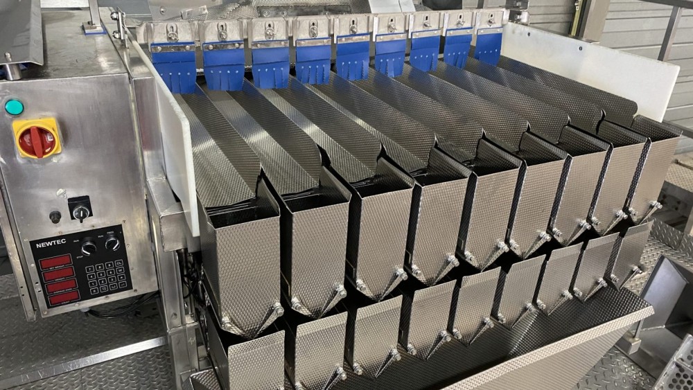 Used Newtec 9 channel weighing line