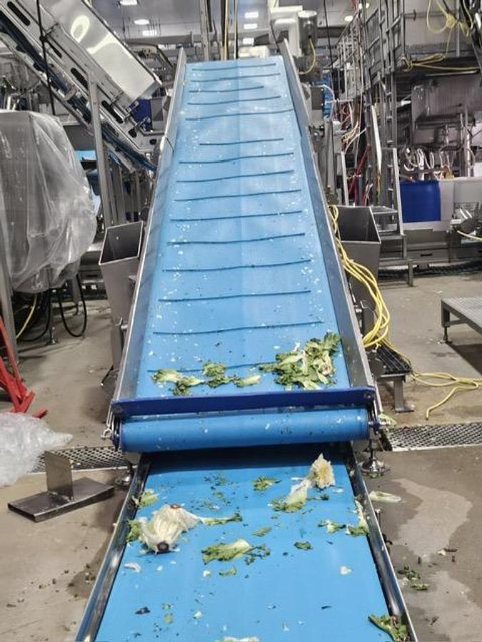 Used HMI Flume Style Wash Line