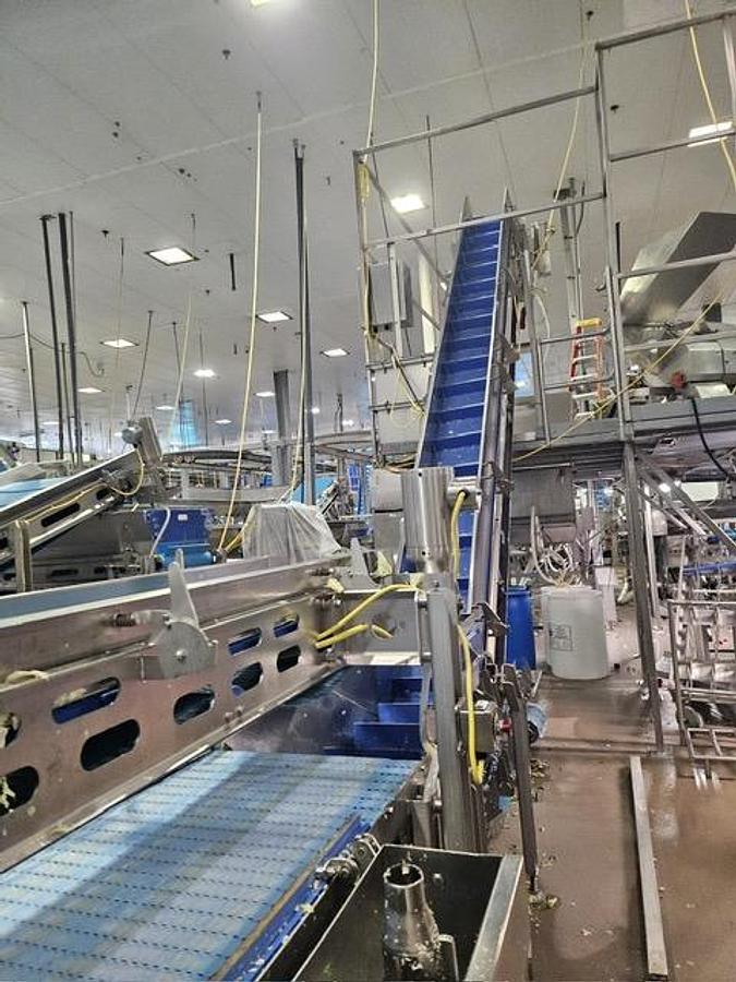Used HMI Flume Style Wash Line