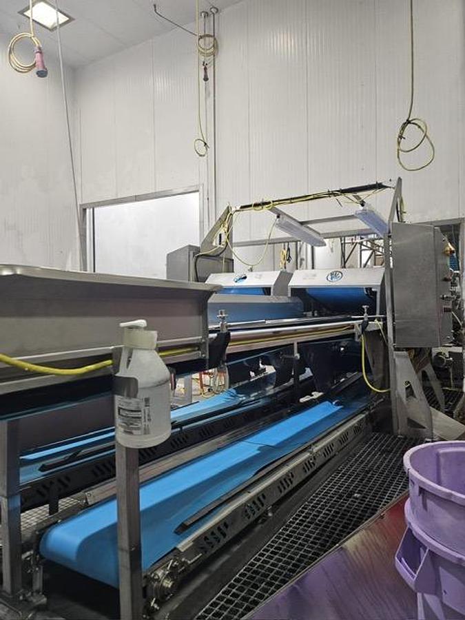 Used HMI / Heinzen Two-Stage Jacuzzi-Style Produce Wash Line