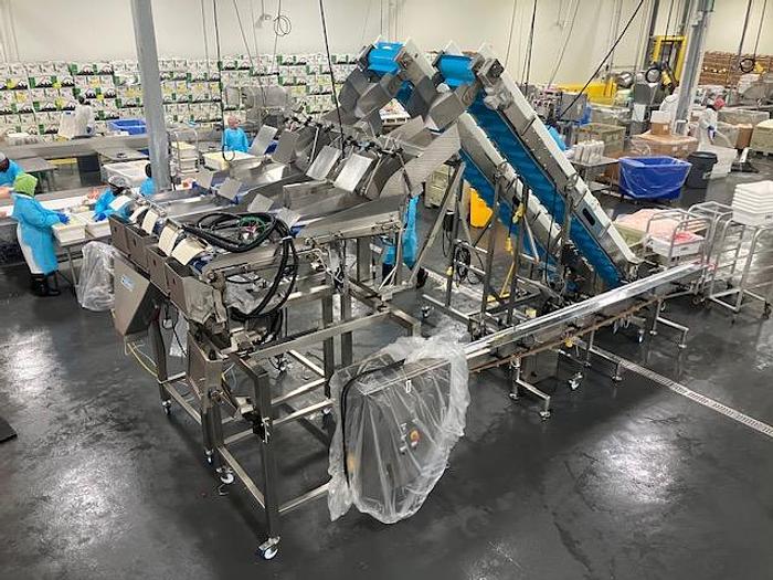 Used Weigh-Pack Linear Scale System