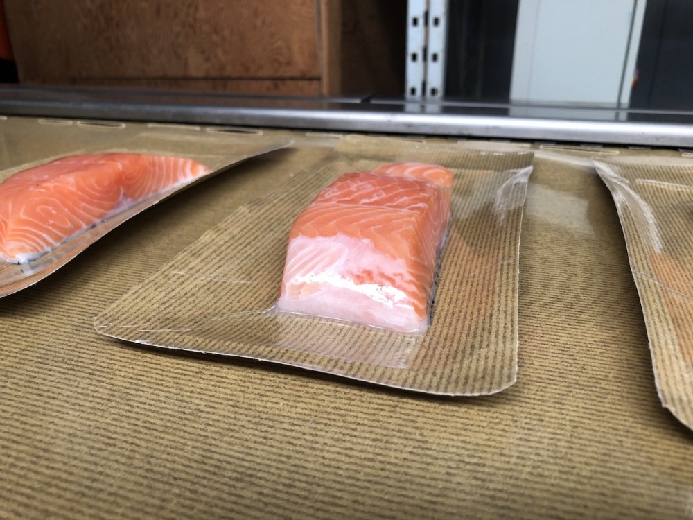 Used Multivac paper skin-pack thermoformer.