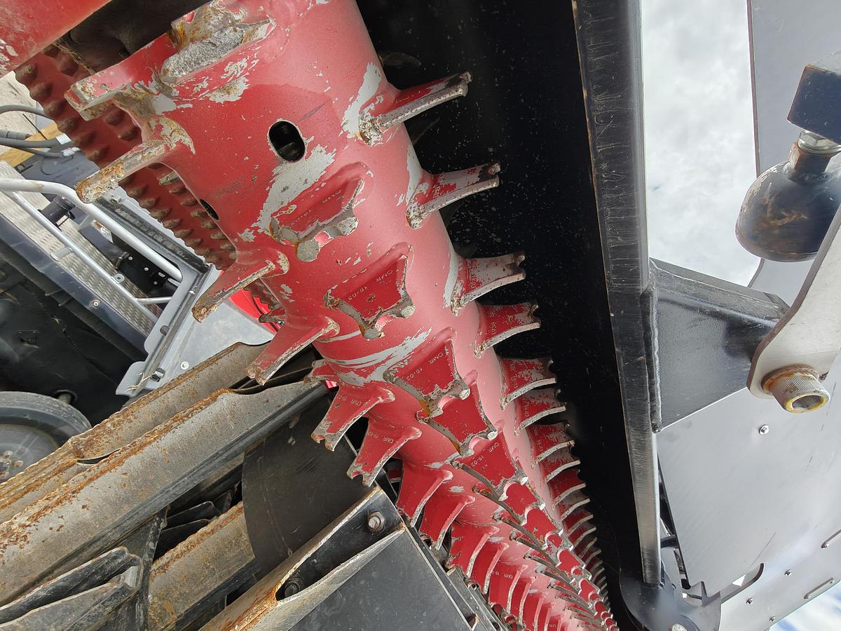 Used Prinoth Leitwolf W 2018