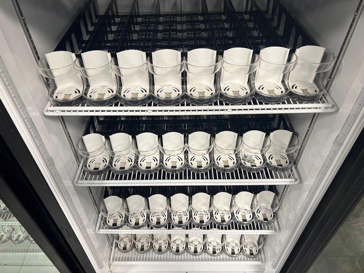 Used ROYAL VENDORS RVCF-027 SINGLE GLASS DOOR REFRIGERATOR MERCHANDISER USEDROYAL VENDORS RVCF-027 SINGLE GLASS DOOR REFRIGERATOR MERCHANDISER USED