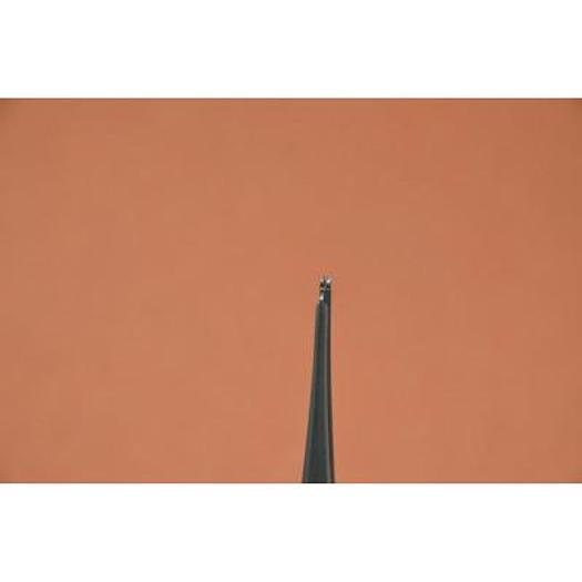 PINCE DISSECTION A/G FINE 13cm (TISSUE FORCEPS 1x2 TEETH FINE)