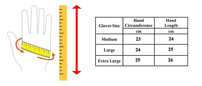 Leather Driver Gloves