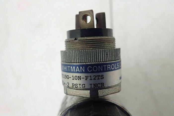 Used Watts Fluidair B548-01AHC/M2 Filter w/ Whitman Controls P119G-10N-F12TS Switch