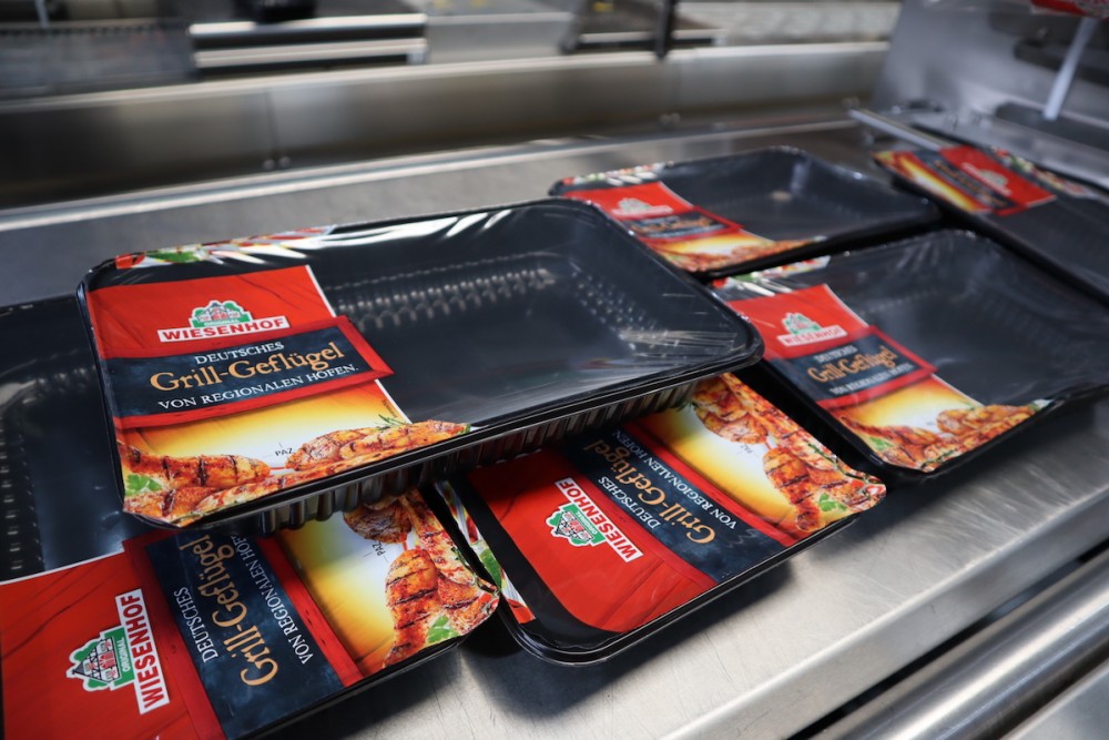 Used Multivac T800 automatic traysealer