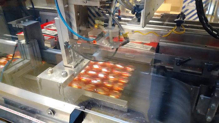 Used BRADMAN LAKE SL-3000 CARTONNER