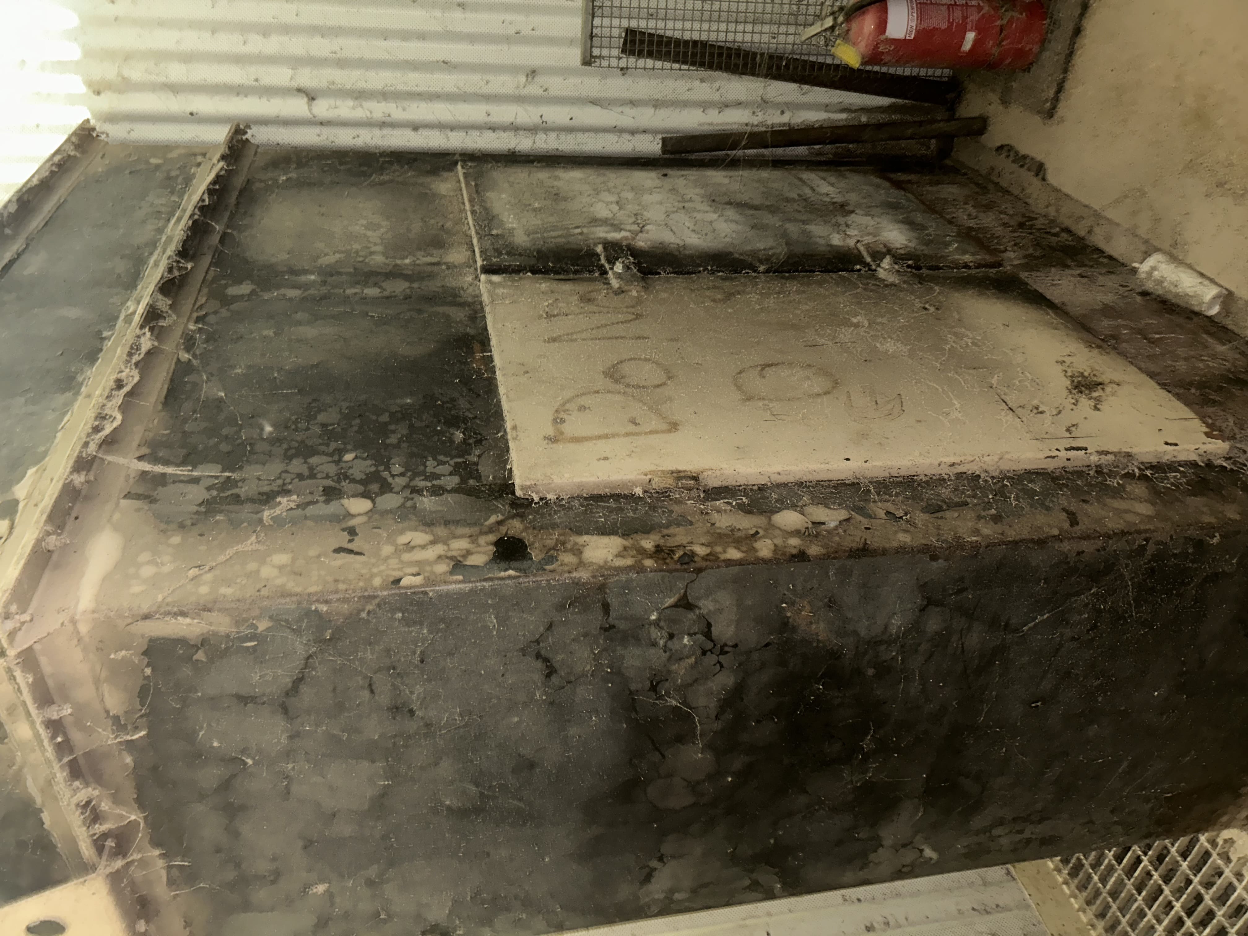 Used Complete dry petfood manufacturing plant