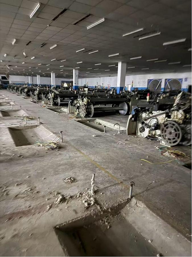 Used PICANOL  OMNI plus-X  220 jet looms