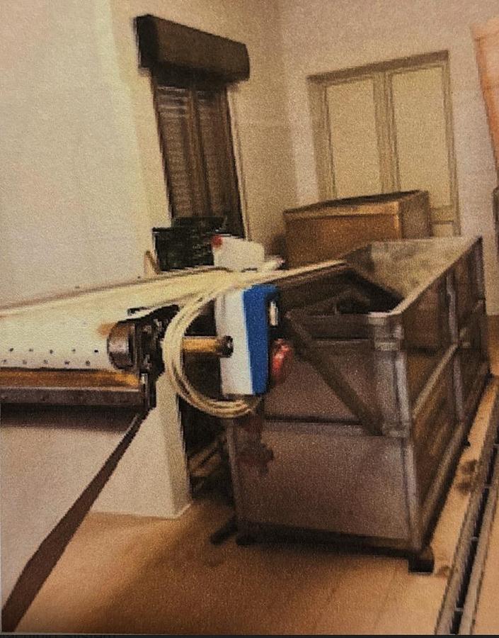 Used 2018 Custom-Built Fruit Arils Separation Tank with Conveyor Belt
