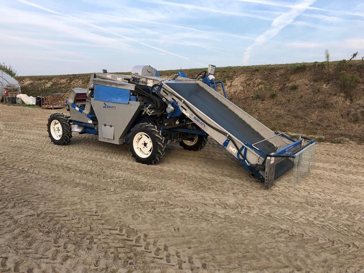 Usato ARCA Gemini Bellavista 1600 Harvesting Machine